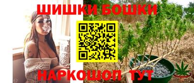 Альфа ПВП Будённовск